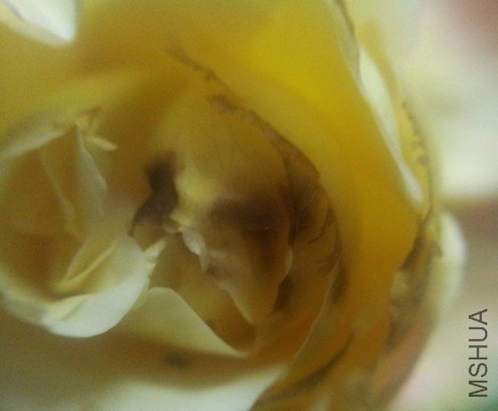 QQͼƬ20130526204004.jpg