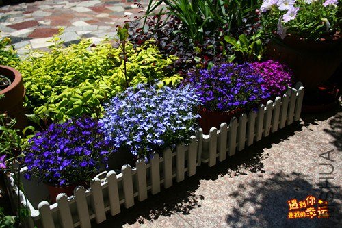 ��Ƭ 248_����.jpg