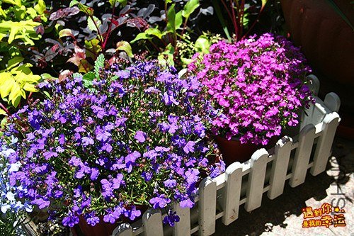 ��Ƭ 252_����.jpg