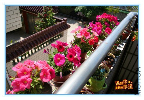 ��Ƭ 034_����.jpg