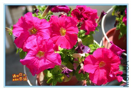 ��Ƭ 036_����.jpg