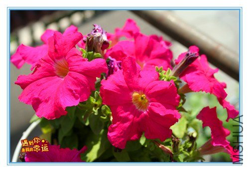 ��Ƭ 037_����.jpg