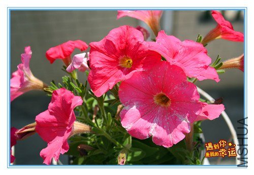 ��Ƭ 038_����.jpg