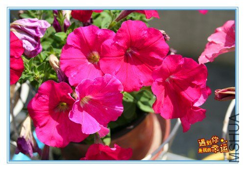 ��Ƭ 039_����.jpg