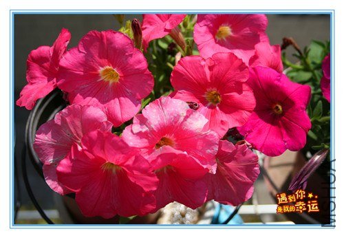 ��Ƭ 040_����.jpg