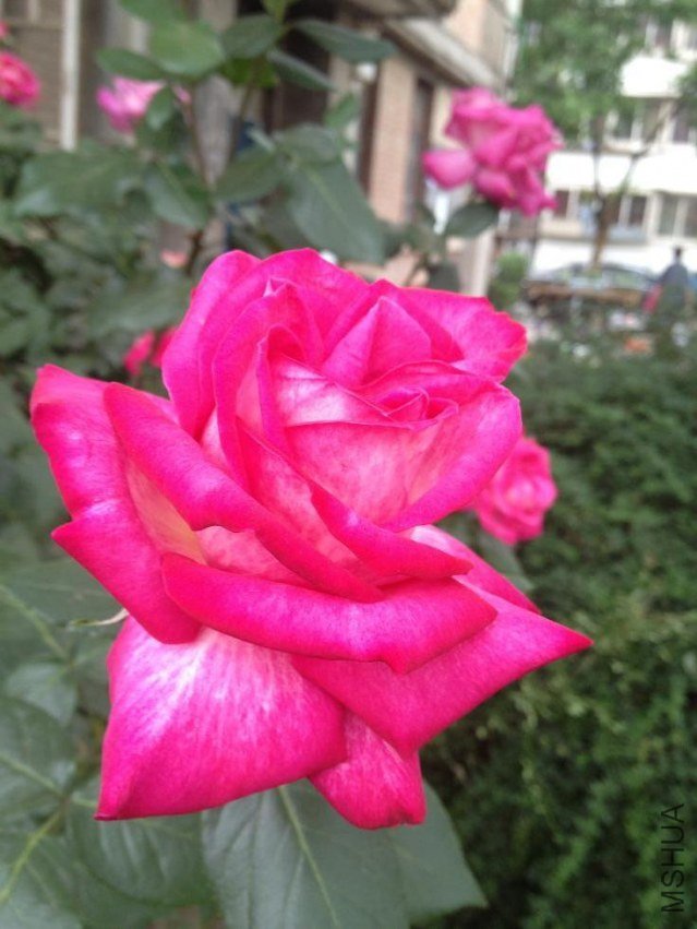 IMG_0051.jpg