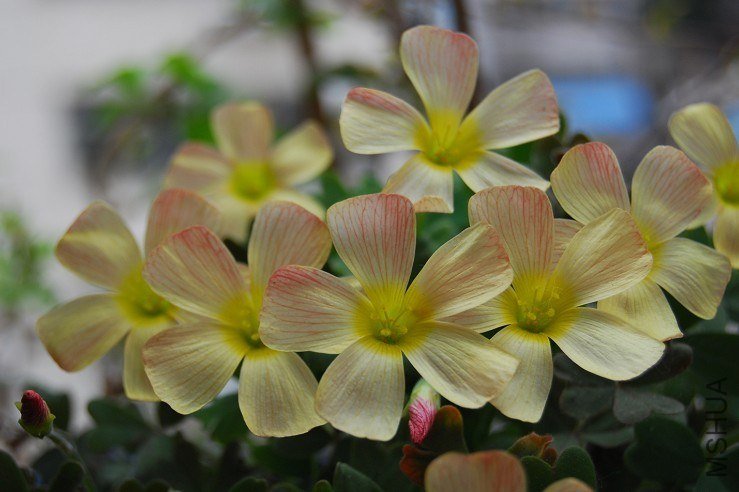 QQͼƬ20130527155513.jpg