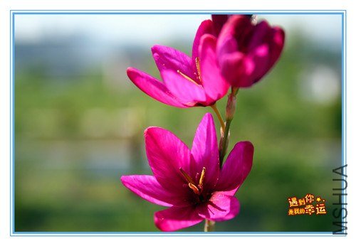 ��Ƭ 064_����.jpg