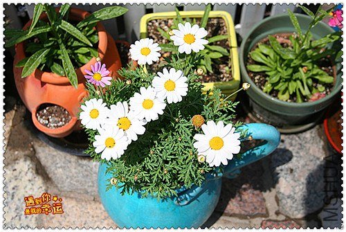 ��Ƭ 123_����.jpg