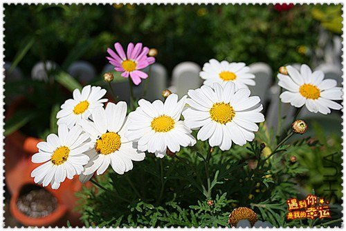 ��Ƭ 125_����.jpg