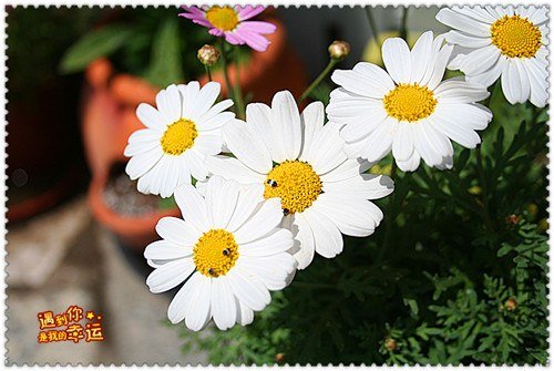 ��Ƭ 126_����.jpg