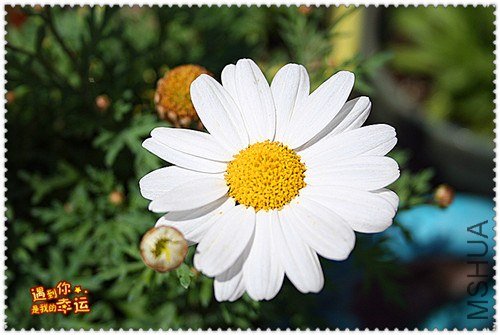 ��Ƭ 127_����.jpg