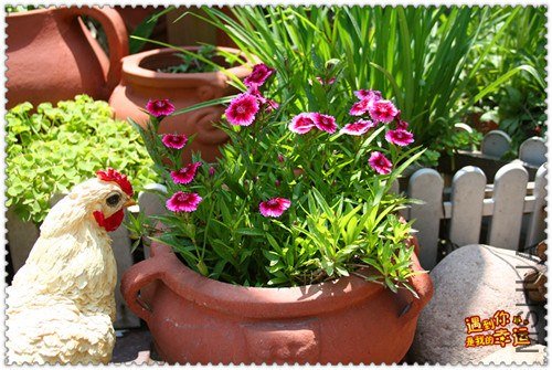 ��Ƭ 081_����.jpg