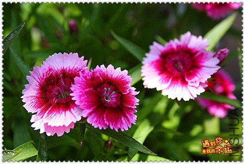 ��Ƭ 083_����.jpg