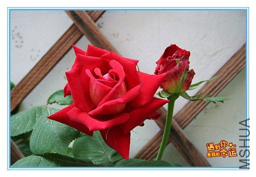 ��Ƭ 016_����.jpg