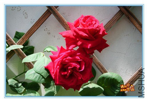 ��Ƭ 016d_����.jpg