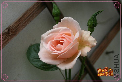 ��Ƭ 018_����.jpg