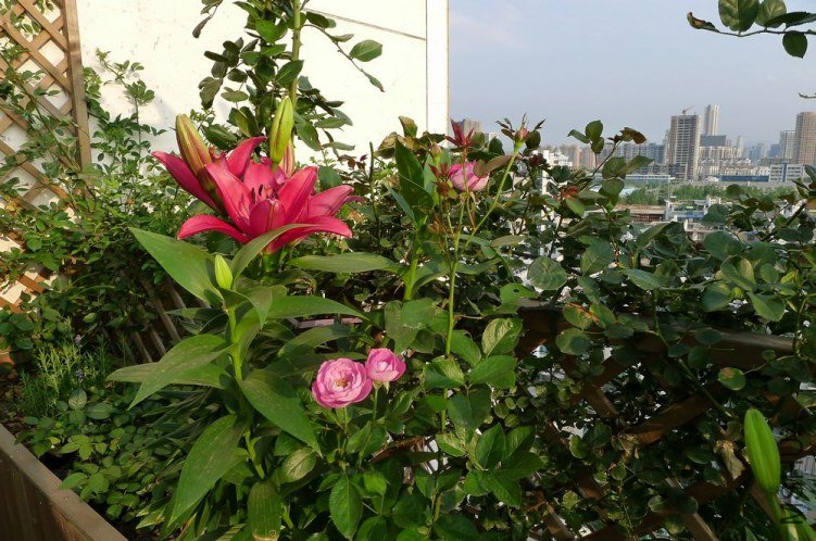 P1140651.JPG