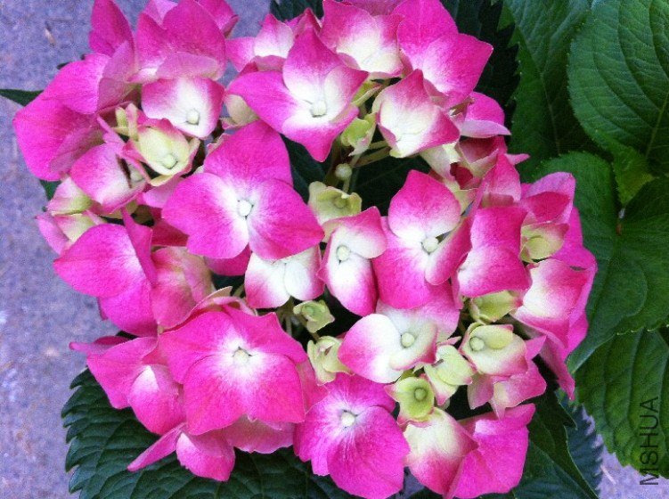 ��Ƭ 018.jpg
