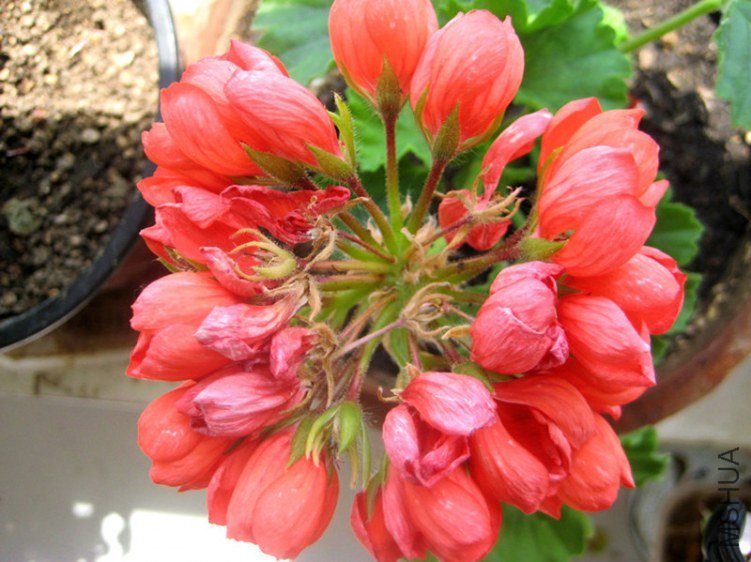 ��Ƭ 015_����_����_����.jpg