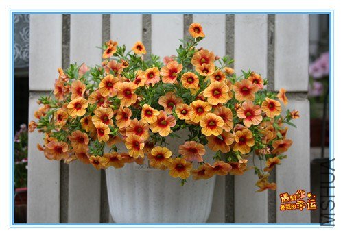 ��Ƭ 118_����.jpg