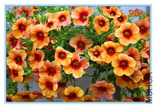 ��Ƭ 122_����.jpg