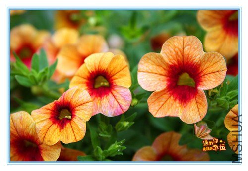 ��Ƭ 124_����.jpg