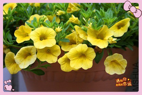 ��Ƭ 128_����.jpg