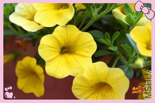 ��Ƭ 129_����.jpg