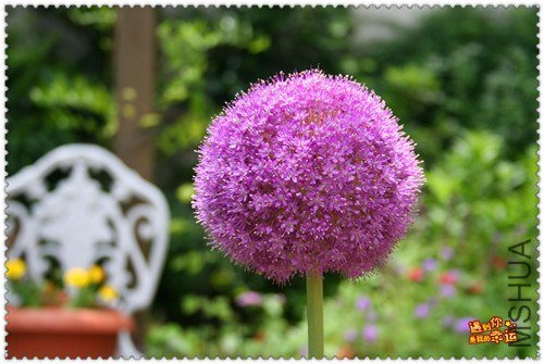 ��Ƭ 011_����.jpg