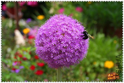 ��Ƭ 014_����.jpg