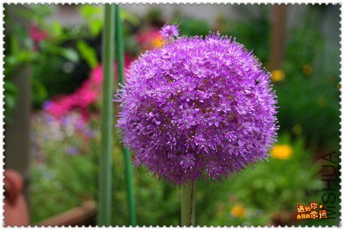 ��Ƭ 016_����.jpg