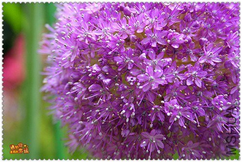 ��Ƭ 018_����.jpg