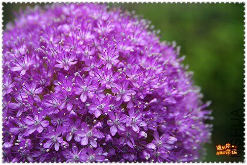 ��Ƭ 020_����.jpg