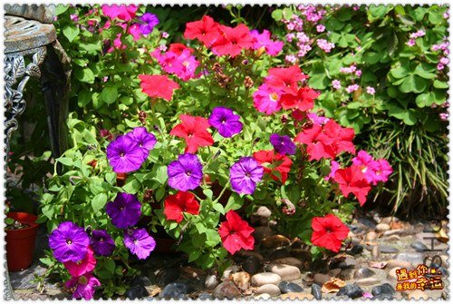 ��Ƭ 035_����.jpg