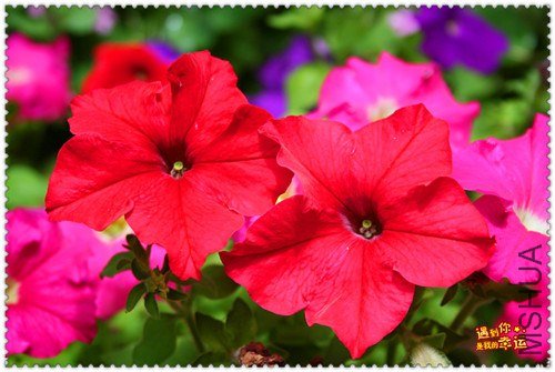 ��Ƭ 036_����.jpg