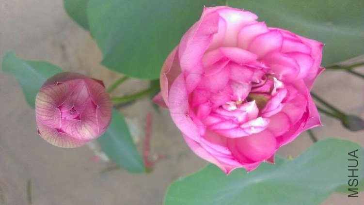20130529092120.jpg
