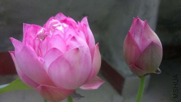 20130529092113.jpg