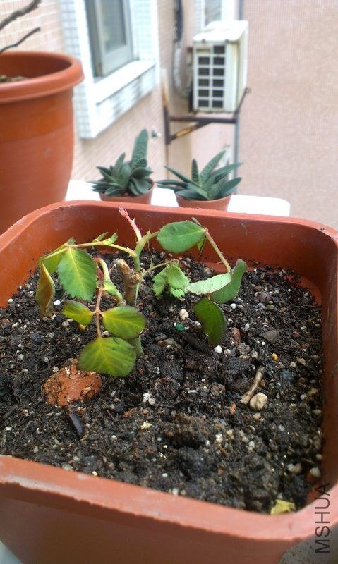 IMAG0348.jpg