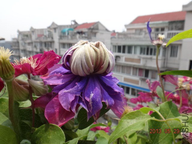 DSC07669.JPG