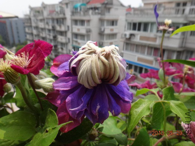 DSC07672.JPG