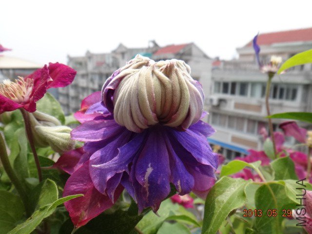 DSC07671.JPG
