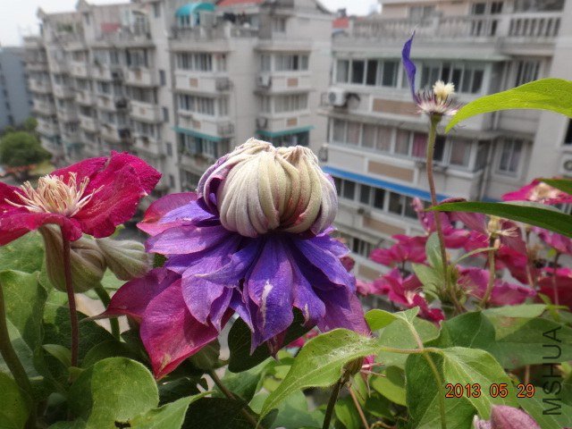 DSC07670.JPG