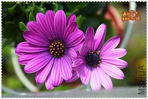 ��Ƭ 064_����.jpg