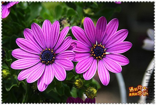 ��Ƭ 065_����.jpg