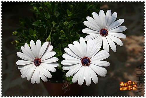 ��Ƭ 066_����.jpg