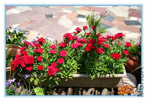 ��Ƭ 071_����.jpg