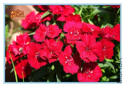 ��Ƭ 073_����.jpg