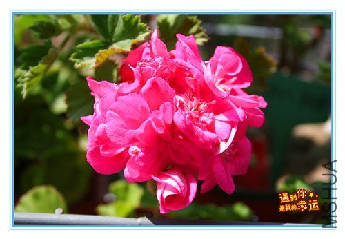 ��Ƭ 055_����.jpg