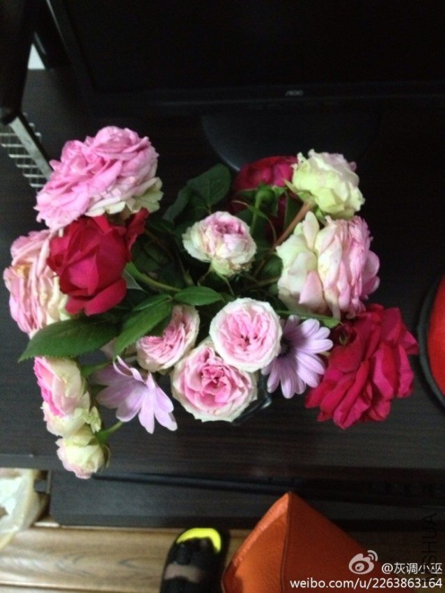 С�����������Ŷ��µ���